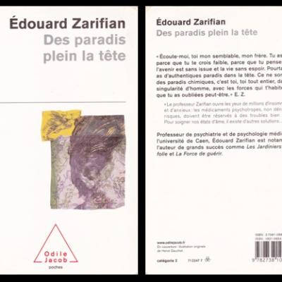 Biblio des paradis plein la tete edouard zarifian